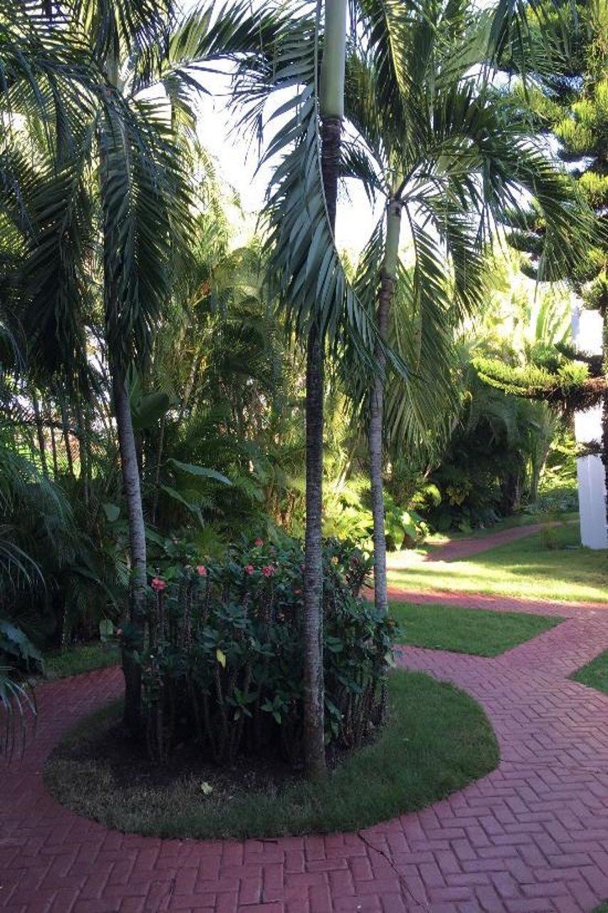 Tribe Resorts Juan Dolio Ngoại thất bức ảnh